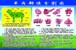 羊肉部位分割图