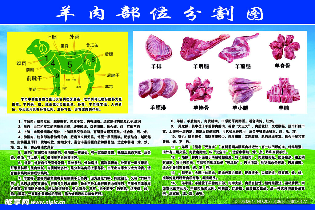 羊肉部位分割图