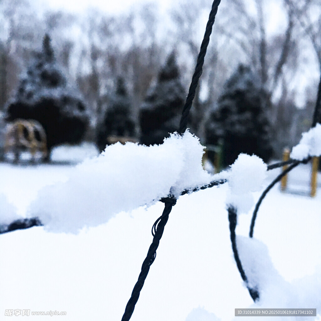 雪天积雪