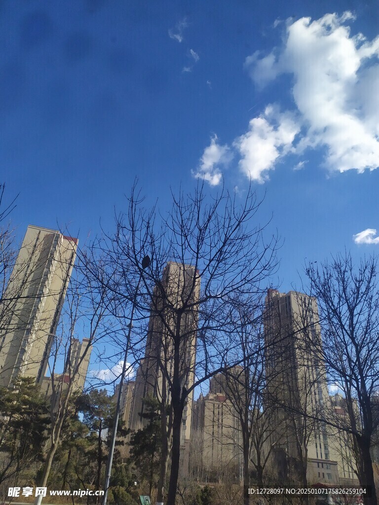 高楼大厦 