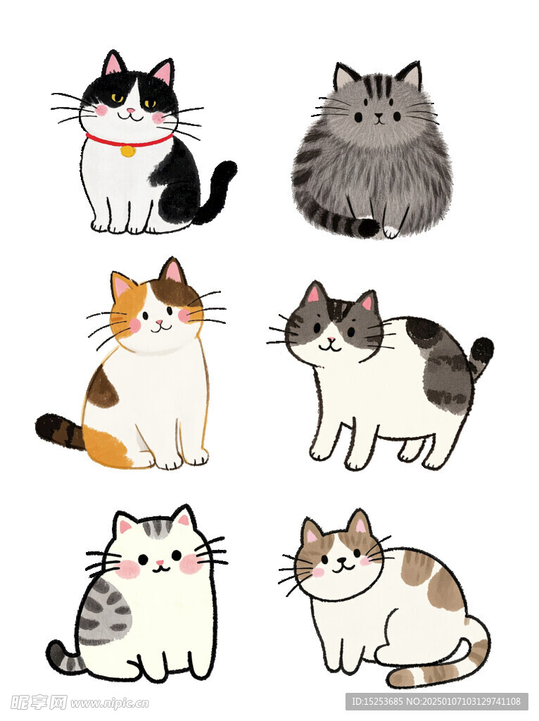 猫咪组合