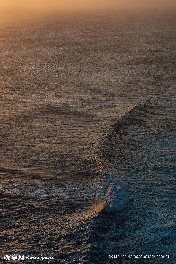 海洋