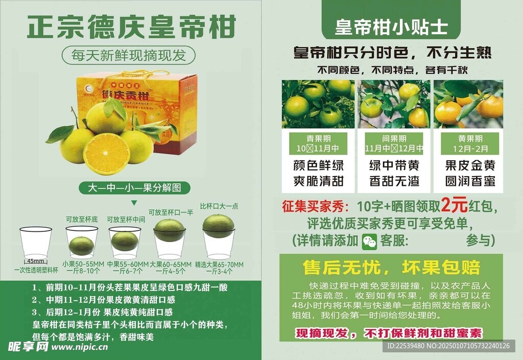 正宗德庆皇帝柑