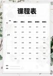 课程表            