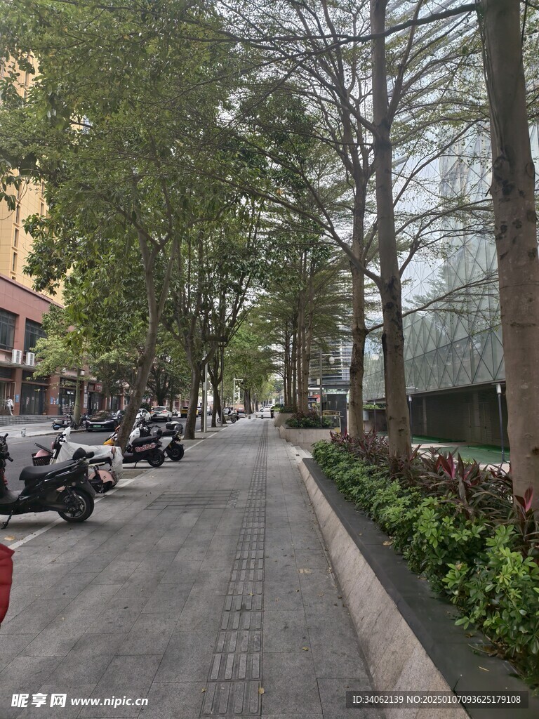 街道