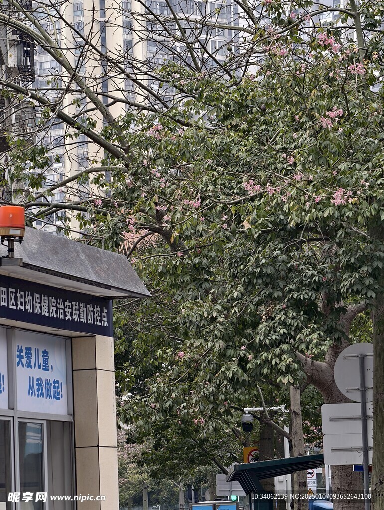 街景