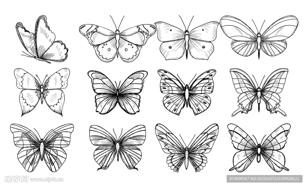 素描手绘蝴蝶矢量元素