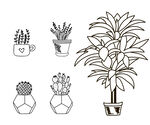黑白线描盆栽绿植矢量元素