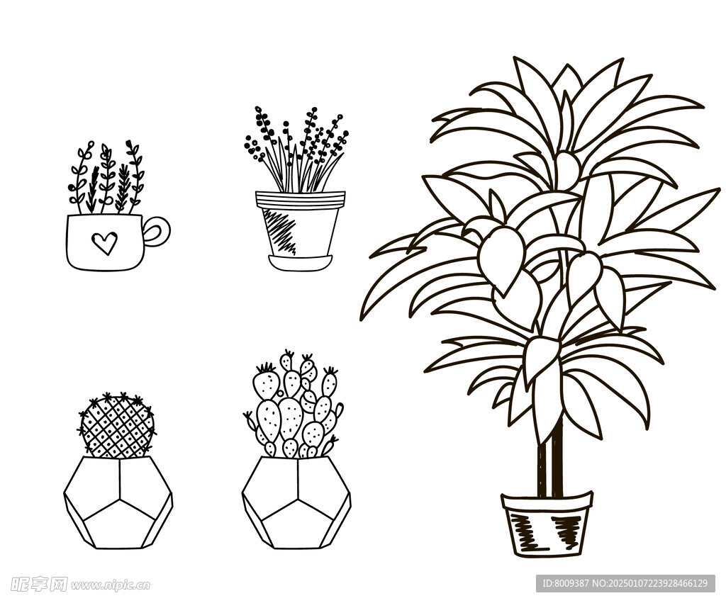 黑白线描盆栽绿植矢量元素