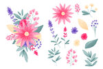 手绘水彩花卉插画矢量元素
