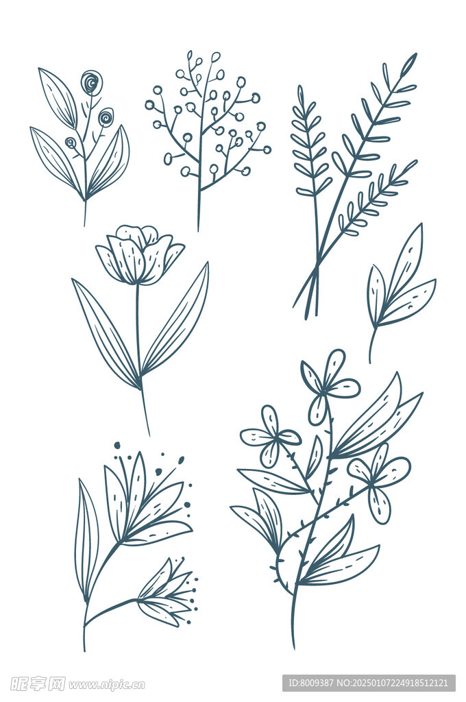 矢量线描花卉元素