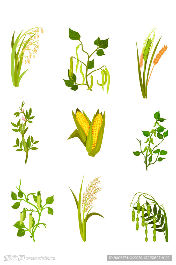 手绘水彩粮食插画元素