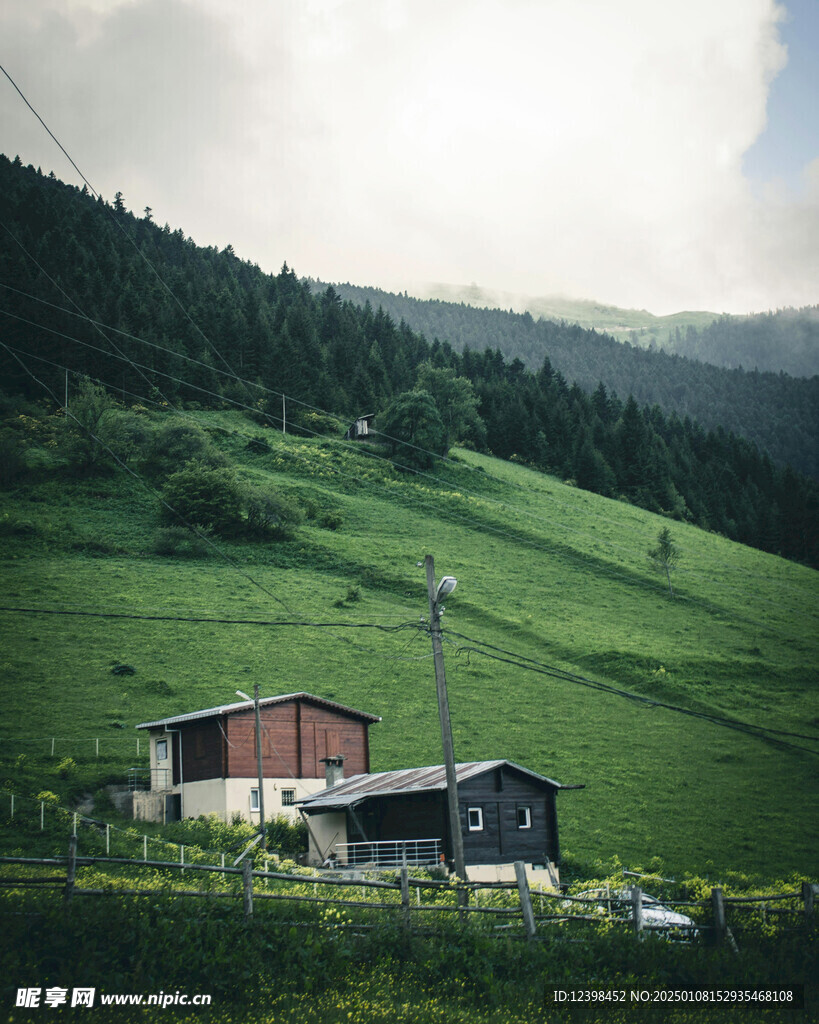 草原