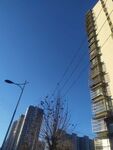 高楼 