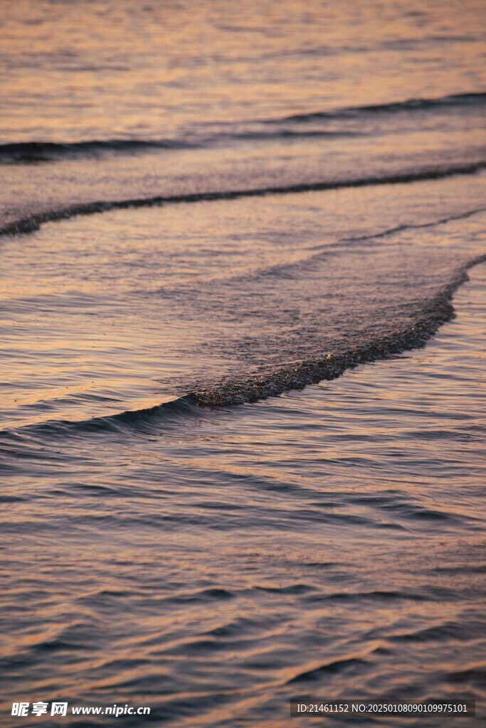 海水