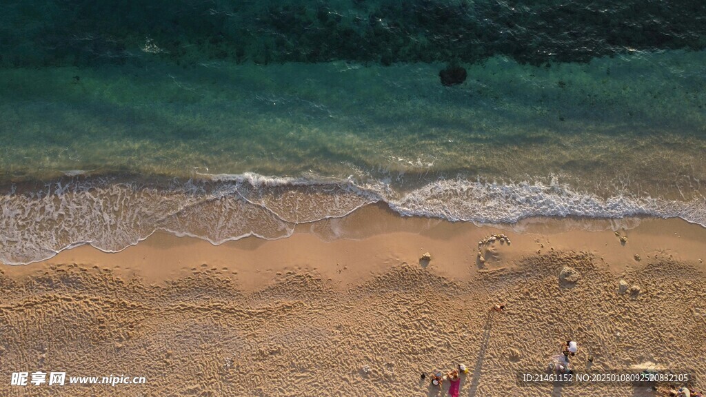 海洋