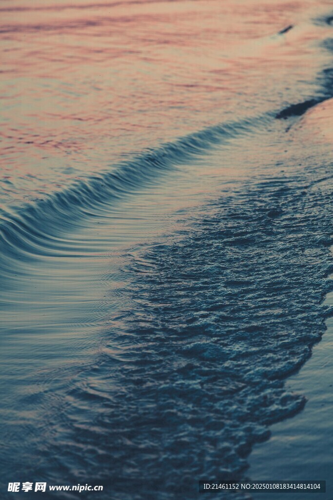 海洋
