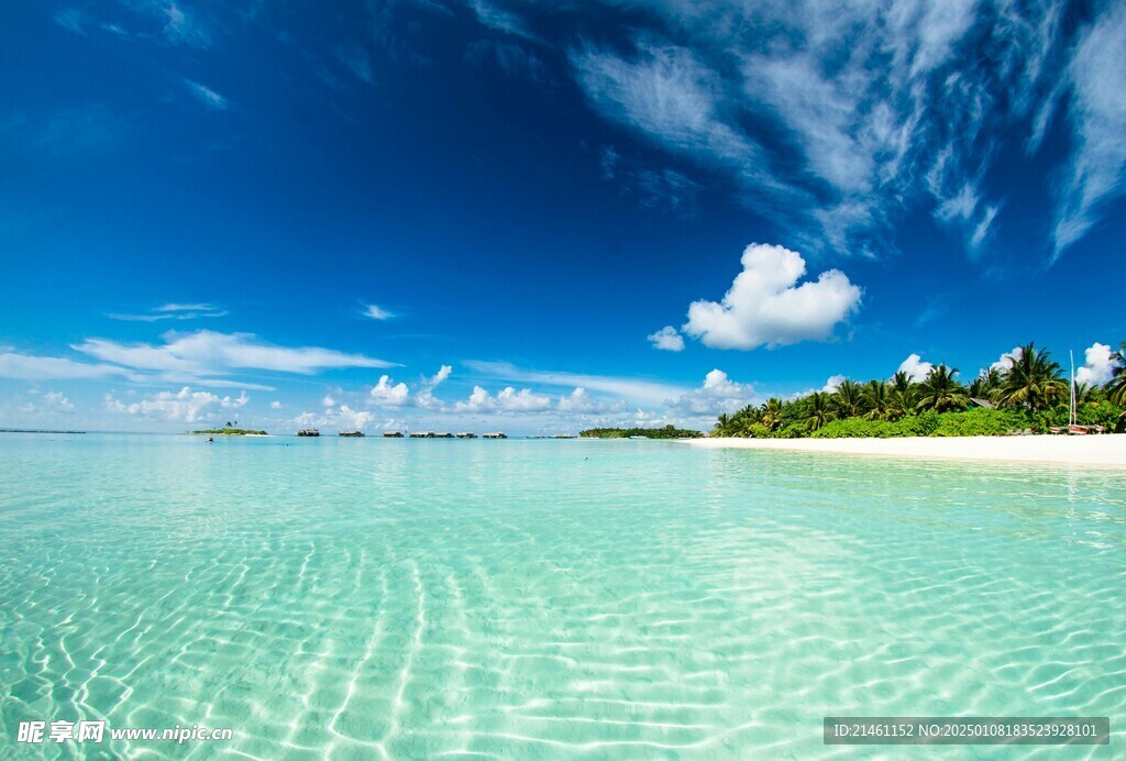 海洋