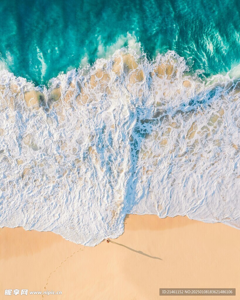 海洋