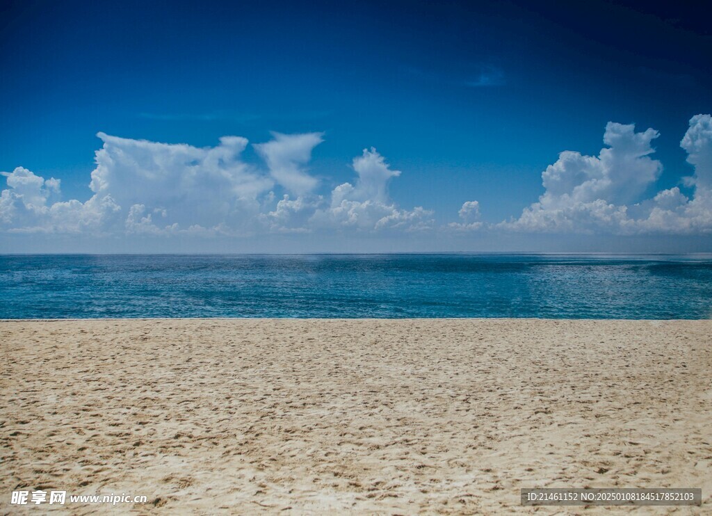 海洋