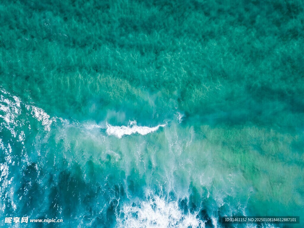 海洋