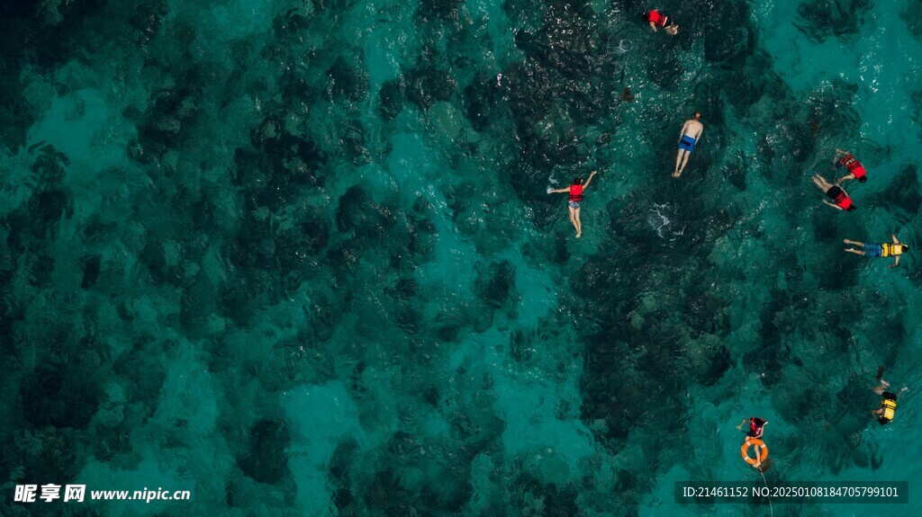 海洋