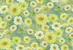扎染花