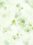 绿花
