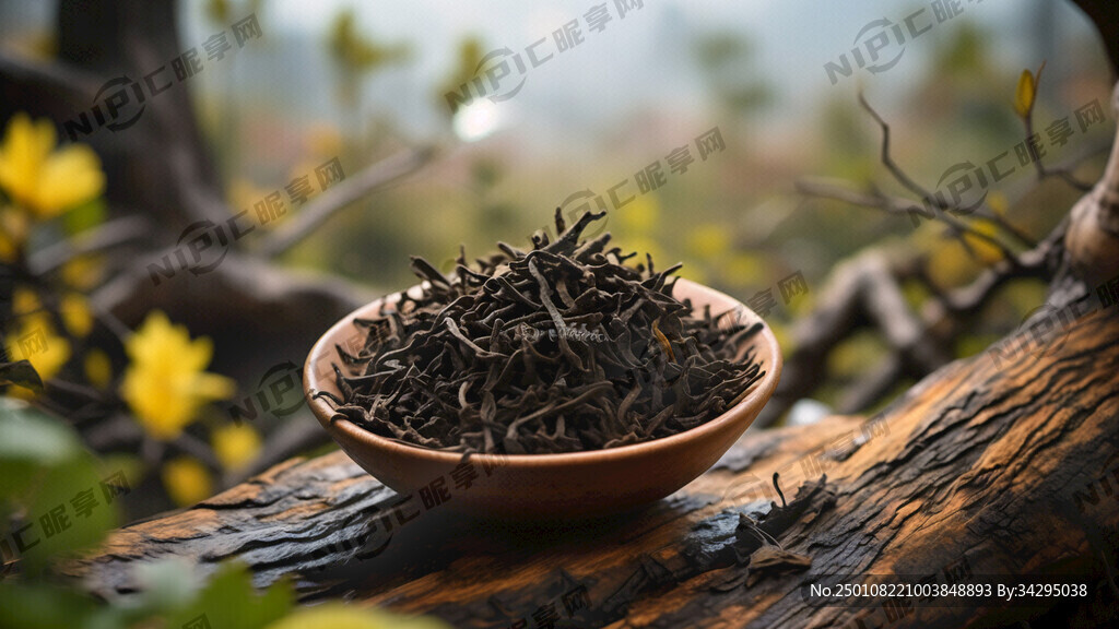 西双版纳之巅 滑竹梁子 茶树