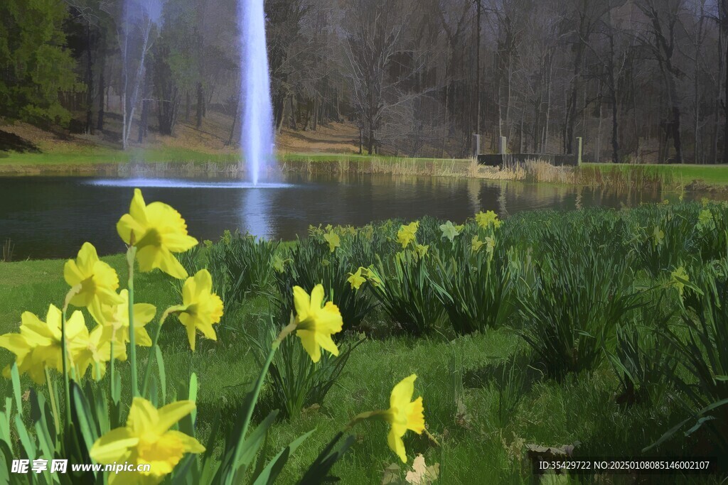 水仙花