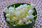 茉莉花