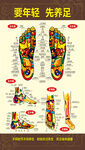 足部反射区示意图
