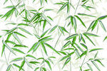 数码印花