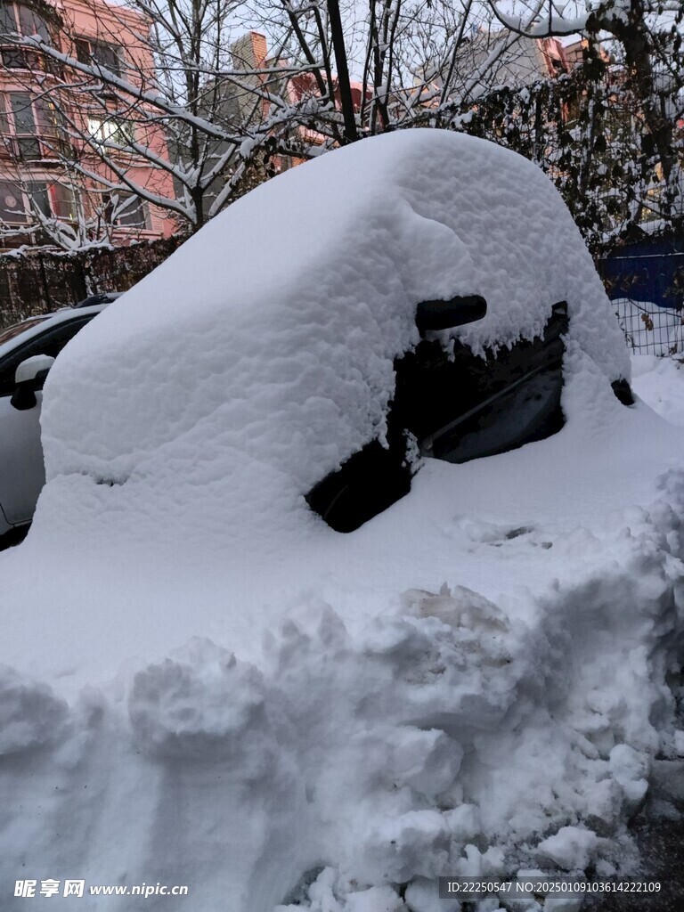 雪