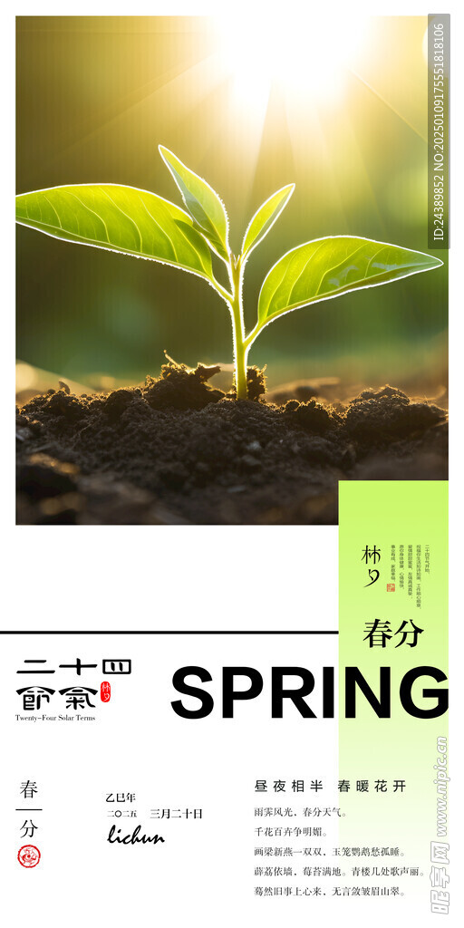 二十四节气春分