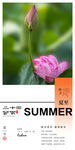 二十四节气夏至