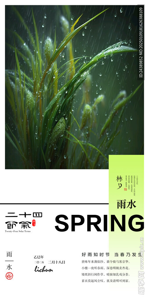 二十四节气雨水