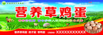 营养草鸡蛋门头设计