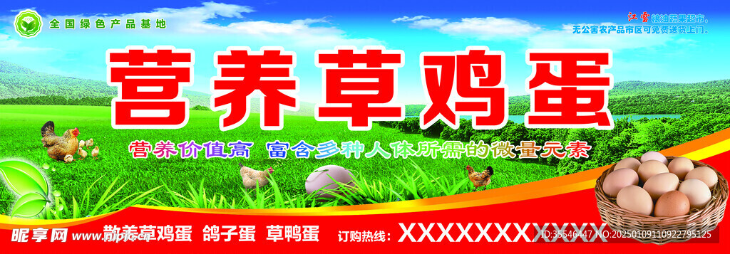 营养草鸡蛋门头设计