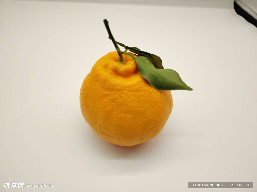 耙耙柑