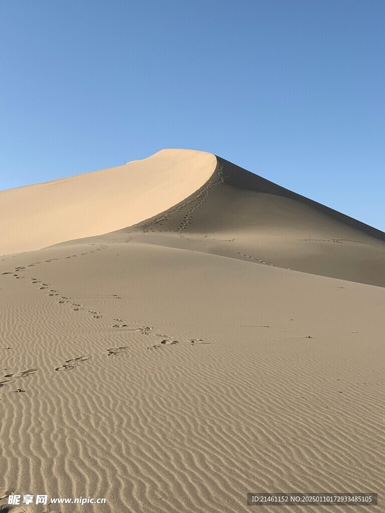 沙漠