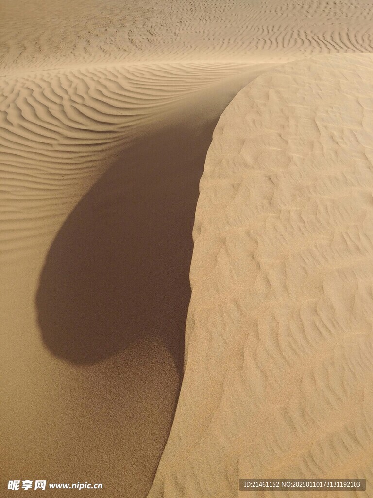 沙漠