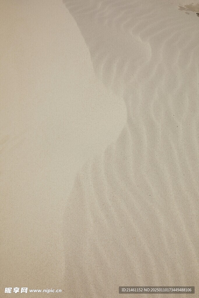 沙漠