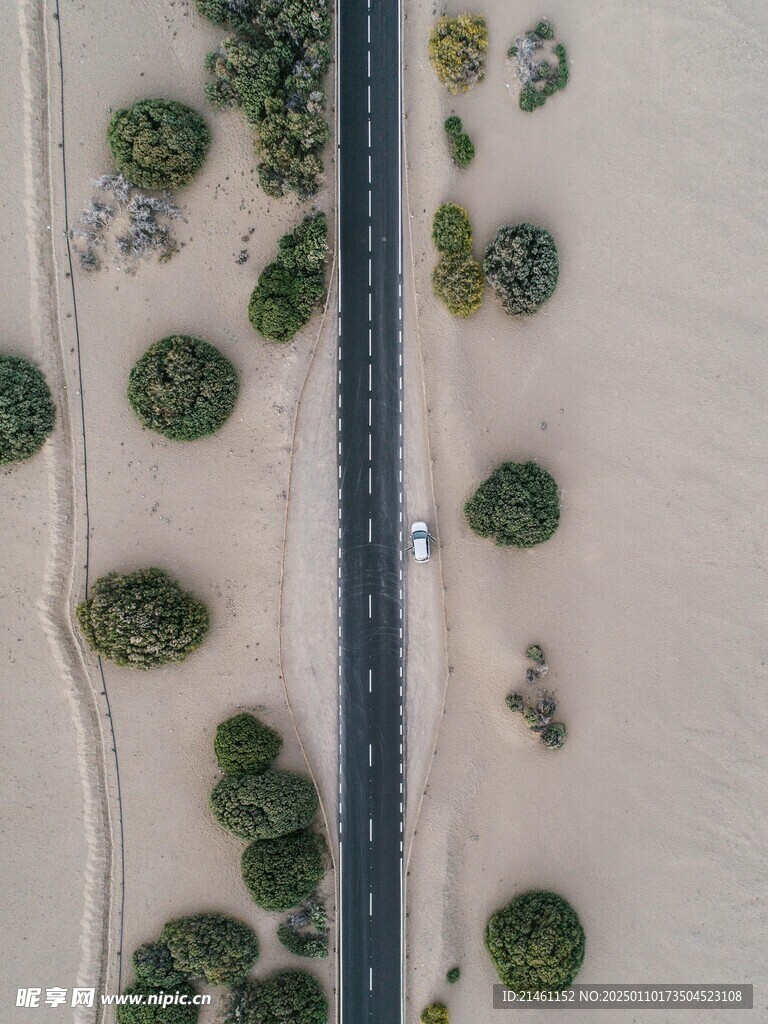 沙漠