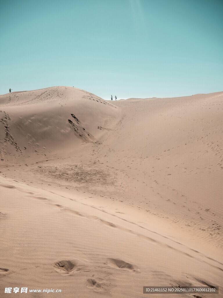 沙漠