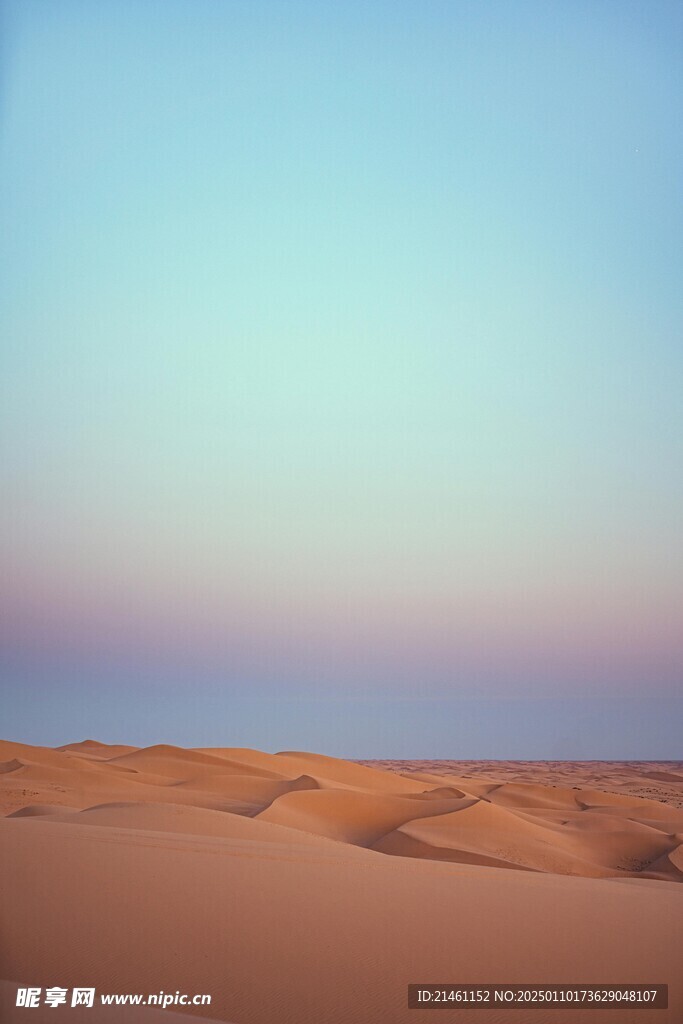 沙漠