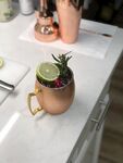 鸡尾酒图片