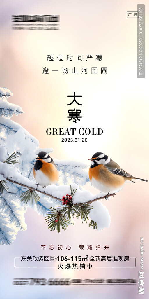 大寒节气海报