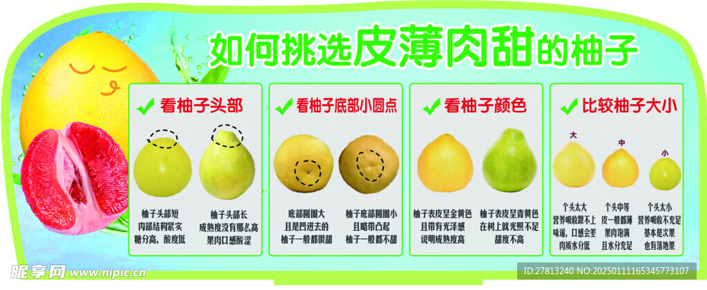 水果立牌 柚子挑选技巧