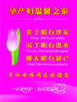 孕产妇温馨之家